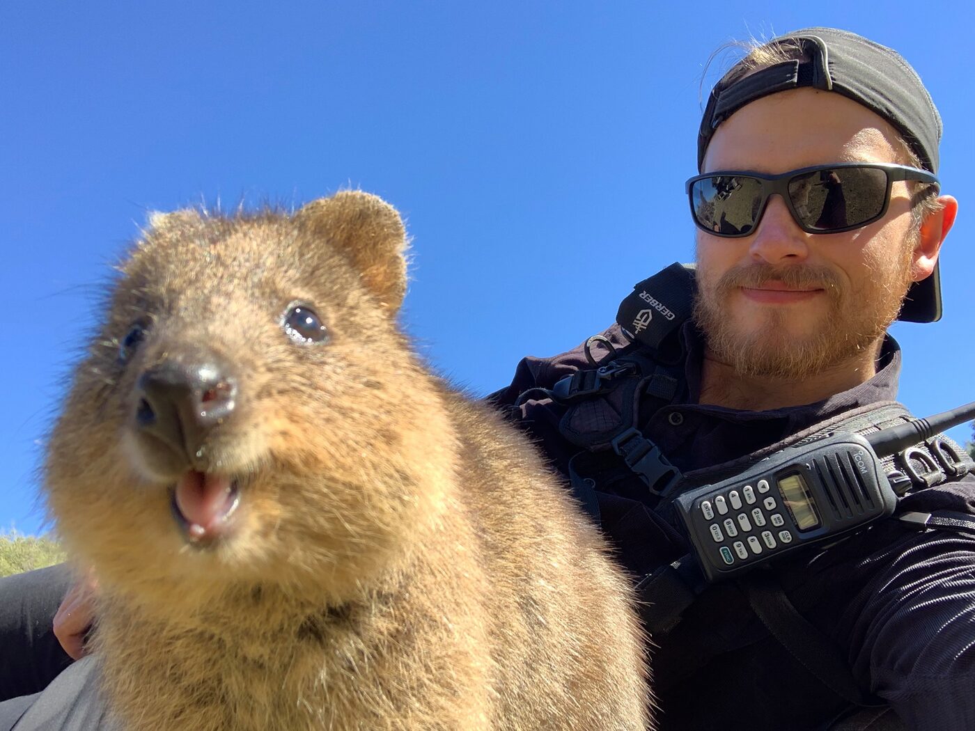 Richard Hubbard with a quokka while on location at Rottnest Island, Western Australia